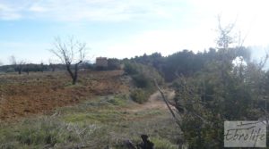 Detalle de Finca con pozo en La Fresneda con almendros y olivos por 48.000€