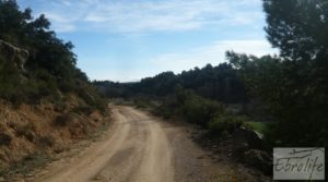 Finca con pozo en La Fresneda a buen precio con almendros y olivos