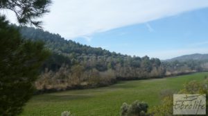 Finca con pozo en La Fresneda en oferta con almendros y olivos