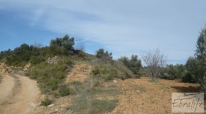 Se vende Finca con pozo en La Fresneda con almendros y olivos