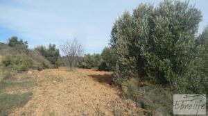 Finca con pozo en La Fresneda para vender con almendros y olivos por 48.000€