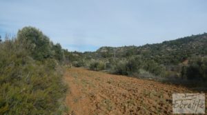 Foto de Finca con pozo en La Fresneda con almendros y olivos por 48.000€