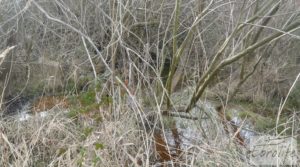 Finca con pozo en La Fresneda en venta con almendros y olivos