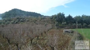 Se vende Finca con pozo en La Fresneda con almendros y olivos