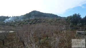 Finca con pozo en La Fresneda en venta con almendros y olivos