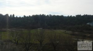 Foto de Finca con pozo en La Fresneda en venta con almendros y olivos