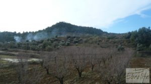 Foto de Finca con pozo en La Fresneda con almendros y olivos