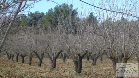 Finca con pozo en La Fresneda