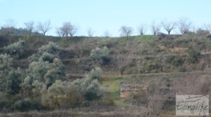 Finca con pozo en La Fresneda en venta con almendros y olivos