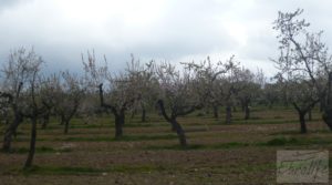 Magnífica masía en Valderrobres, rodeada de almendros. a buen precio con balcón por 110.000€