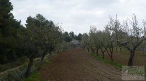 Magnífica masía en Valderrobres, rodeada de almendros. en venta con balcón por 110.000€