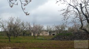 Se vende Magnífica masía en Valderrobres, rodeada de almendros. con balcón por 110.000€