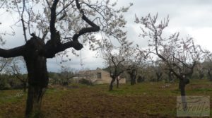 Magnífica masía en Valderrobres, rodeada de almendros. para vender con barbacoa