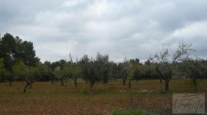 Magnífica masía en Valderrobres, rodeada de almendros. en oferta con barbacoa por 110.000€