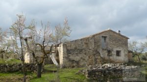 Foto de Magnífica masía en Valderrobres, rodeada de almendros. con almendros y olivos en plena producción por 110.000€