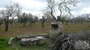 Foto de Magnífica masía en Valderrobres, rodeada de almendros. con barbacoa por 110.000€