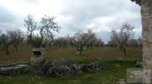 Magnífica masía en Valderrobres, rodeada de almendros. para vender con balcón por 110.000€