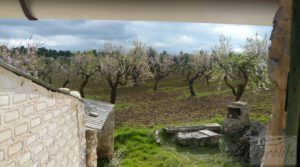 Se vende Magnífica masía en Valderrobres, rodeada de almendros. con barbacoa por 110.000€