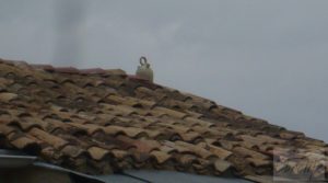 Foto de Magnífica masía en Valderrobres, rodeada de almendros. con balcón por 110.000€