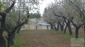 Foto de Magnífica masía en Valderrobres, rodeada de almendros. con barbacoa