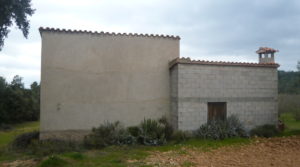 Finca de avellanos en Cretas a buen precio con buen acceso