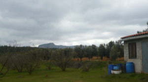 Se vende Finca de avellanos en Cretas con pozo de agua