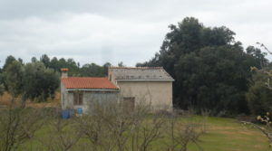 Detalle de Finca de avellanos en Cretas con pozo de agua