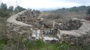 Finca de avellanos en Cretas para vender con pozo de agua