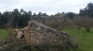 Se vende Finca de avellanos en Cretas con pozo de agua por 63.000€