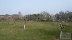 Detalle de Casa de campo en Maella con jardín por 42.000€