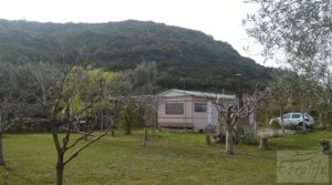 Foto de Casa de campo en Maella en venta con olivos y frutales