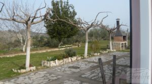 Casa de campo en Maella en venta con olivos y frutales por 42.000€