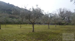 Vendemos Casa de campo en Maella con jardín