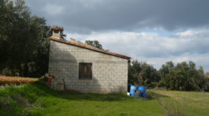 Finca de avellanos en Cretas a buen precio con pozo de agua por 63.000€