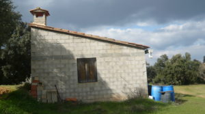 Foto de Finca de avellanos en Cretas con buen acceso por 63.000€