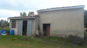 Vendemos Finca de avellanos en Cretas con pozo de agua