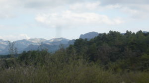 Foto de Finca de avellanos en Cretas con pozo de agua