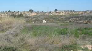 Vendemos Casa de campo en Caspe con regadío