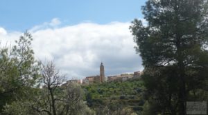 Casa y olivar en Fornoles para vender con bodega