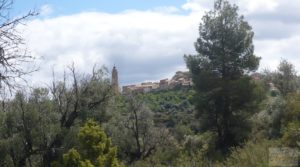 Detalle de Casa y olivar en Fornoles con buenas vistas por 19.000€