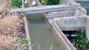 Foto de Estupenda finca de regadío en Caspe con almendros y frutales. en venta con agua y electricidad