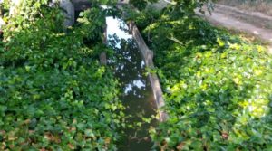 Foto de Estupenda finca de regadío en Caspe con almendros y frutales. en venta con agua y electricidad