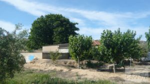 Estupenda finca de regadío en Caspe con almendros y frutales. para vender con agua y electricidad