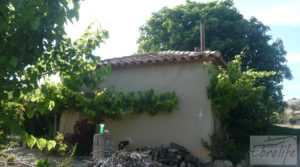 Estupenda finca de regadío en Caspe con almendros y frutales. en oferta con agua y electricidad