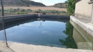 Se vende Estupenda finca de regadío en Caspe con almendros y frutales. con agua y electricidad