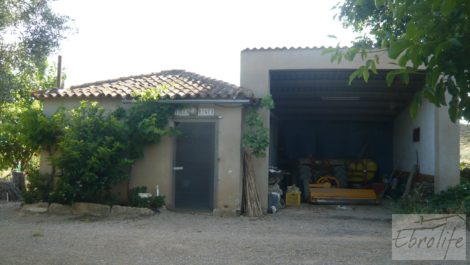 Estupenda finca de regadío en Caspe con almendros y frutales.