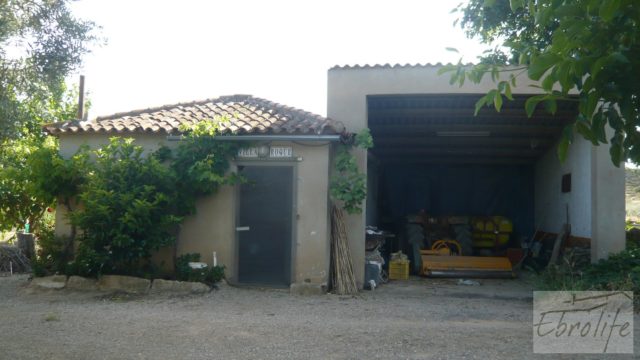 Estupenda finca de regadío en Caspe con almendros y frutales.