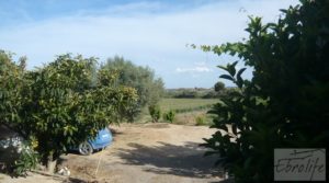 Estupenda finca de regadío en Caspe con almendros y frutales. para vender con agua y electricidad