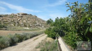 Foto de Estupenda finca de regadío en Caspe con almendros y frutales. en venta con agua y electricidad