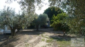 Se vende Estupenda finca de regadío en Caspe con almendros y frutales. con agua y electricidad por 72.000€